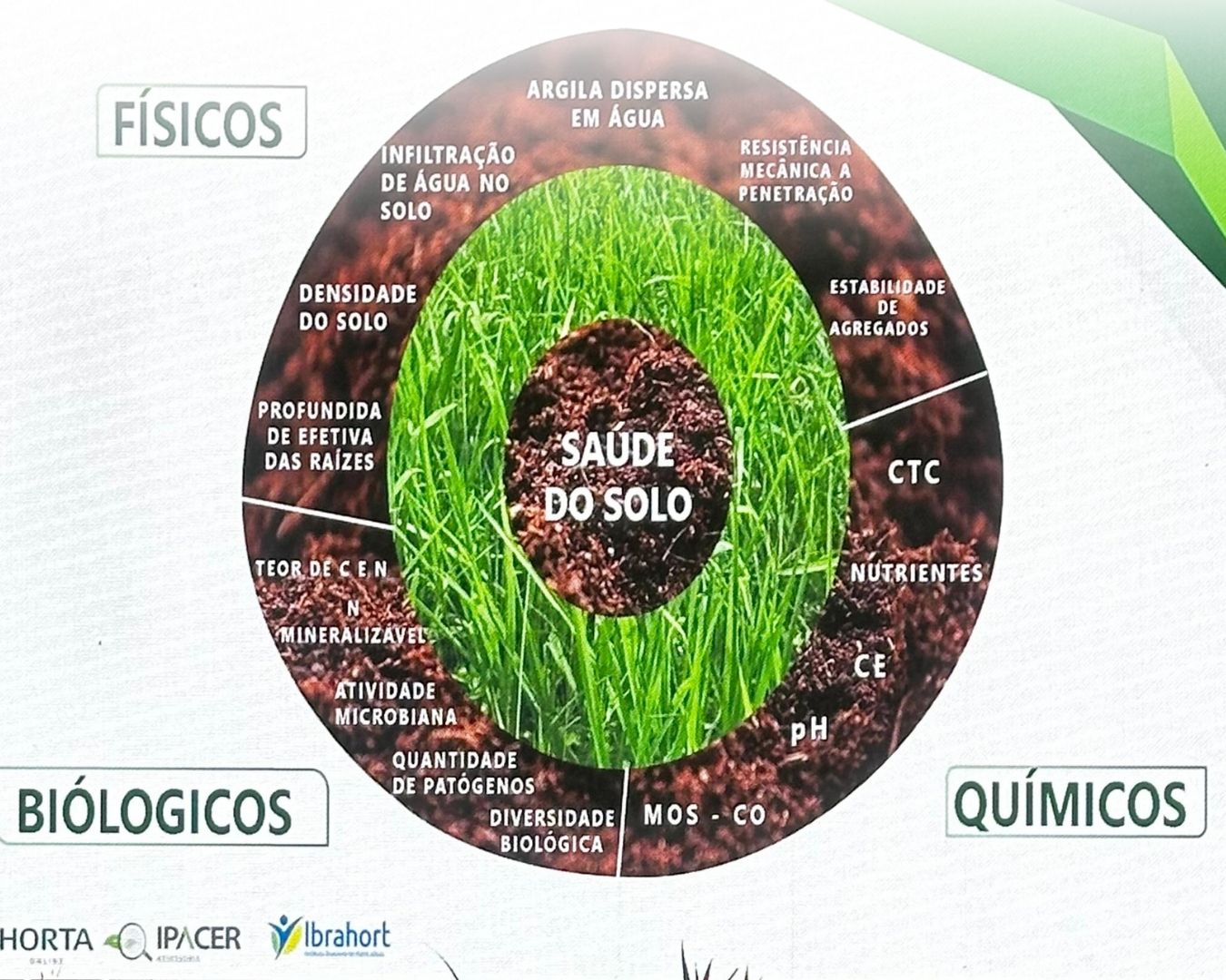 Amipa_Foto Deitada_Branca (1).jpg