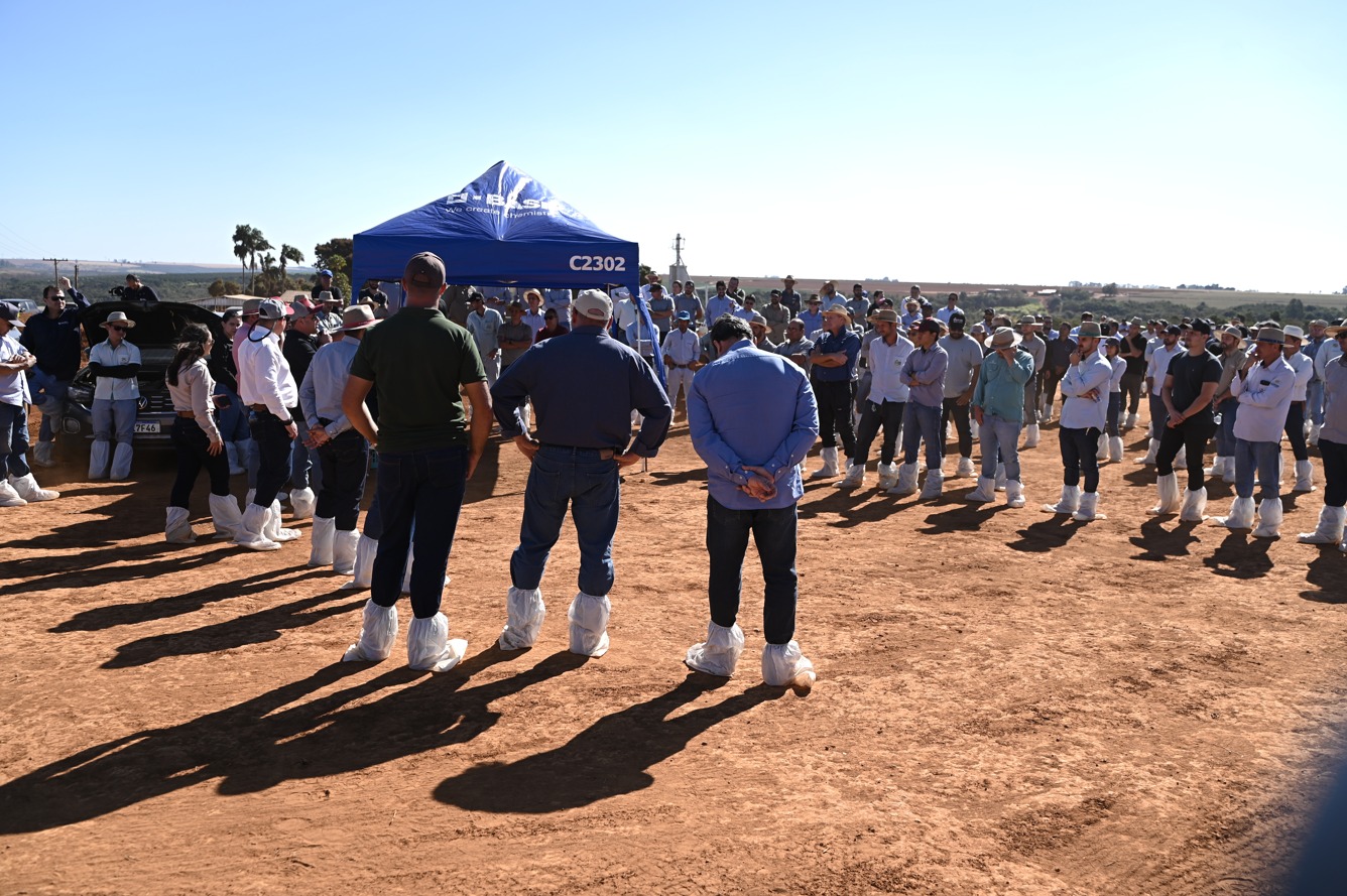 WhatsApp Image 2025-08-01 at 17.26.19.jpeg