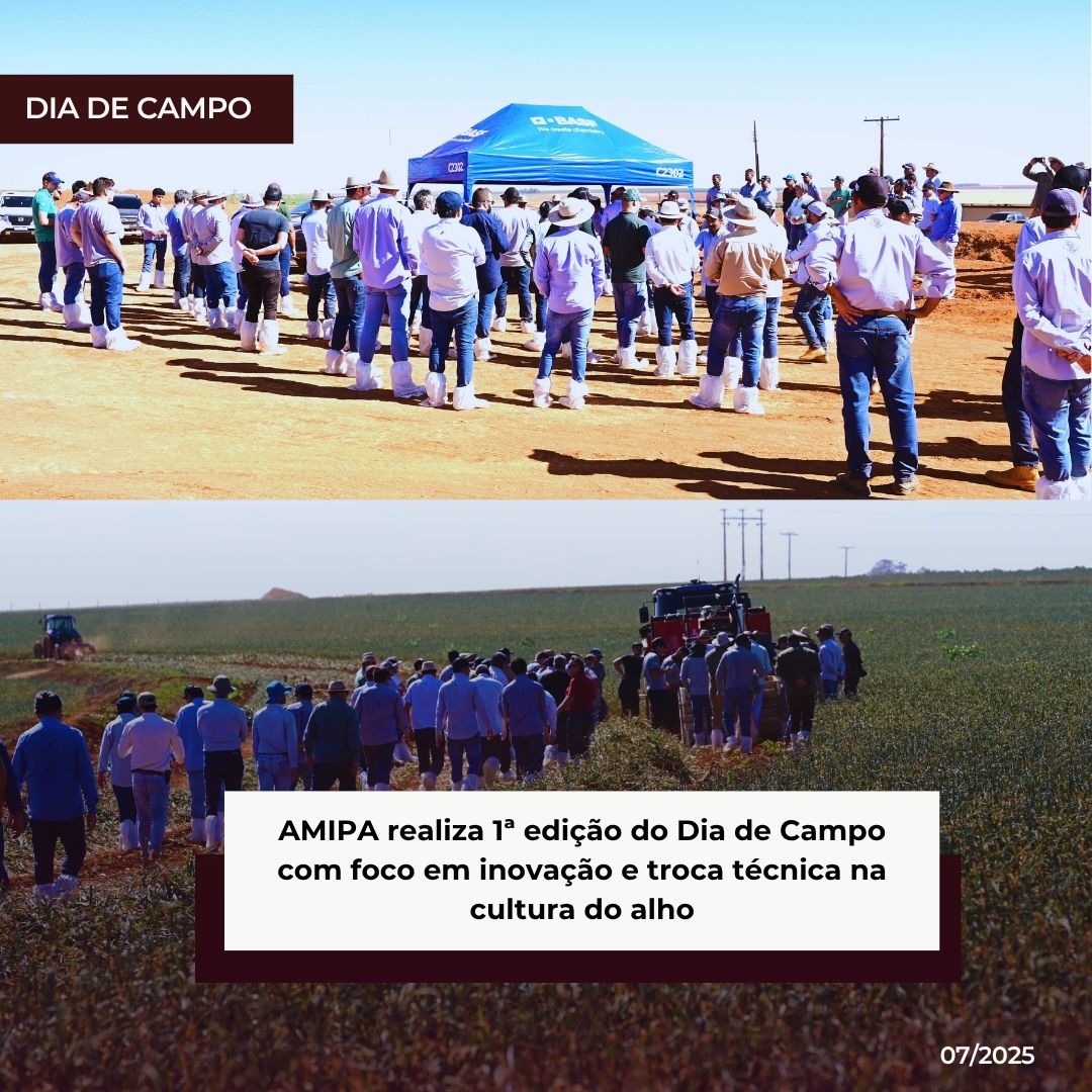 Amipa_Noticias Diarias.jpg