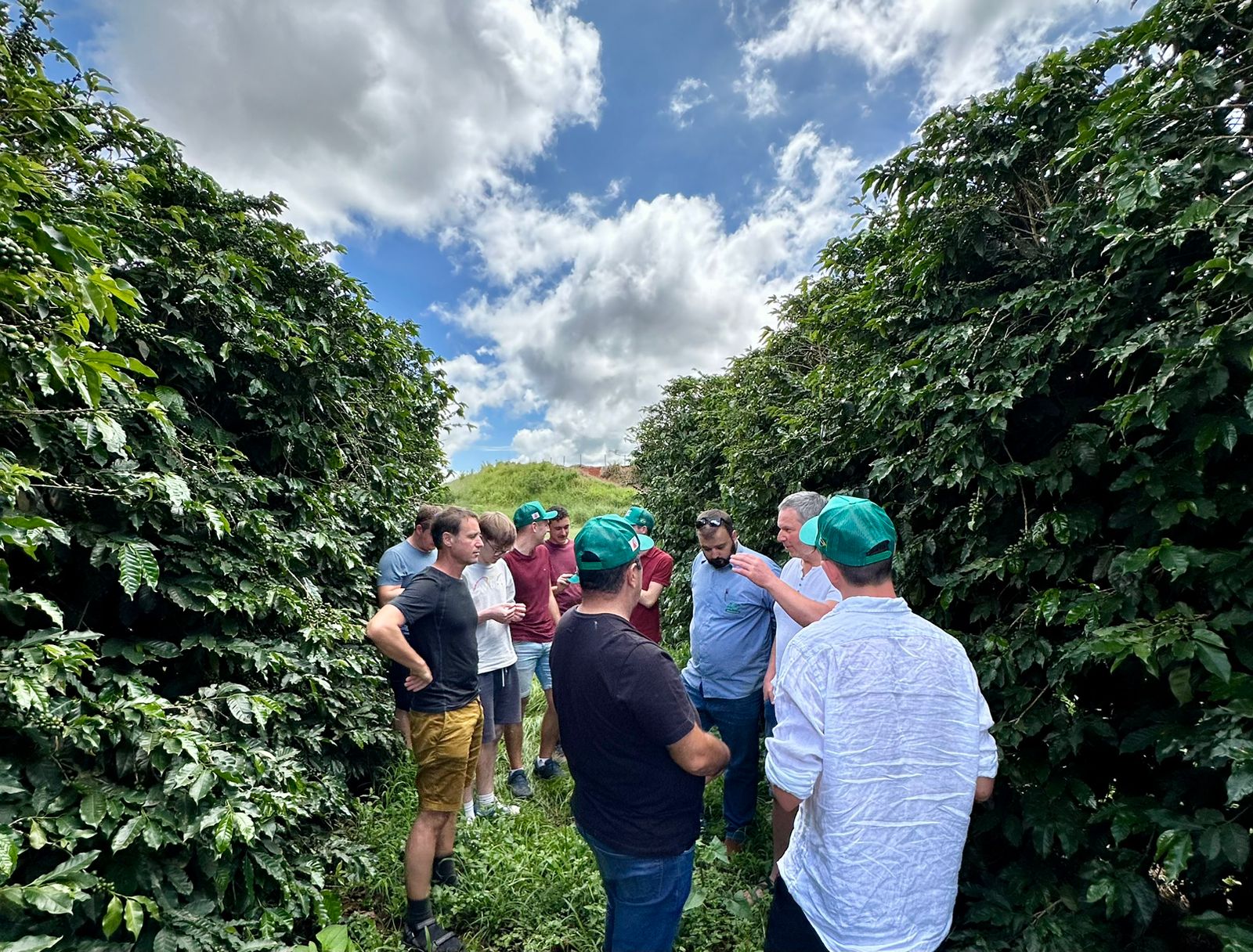 WhatsApp Image 2024-02-26 at 09.13.24.jpeg