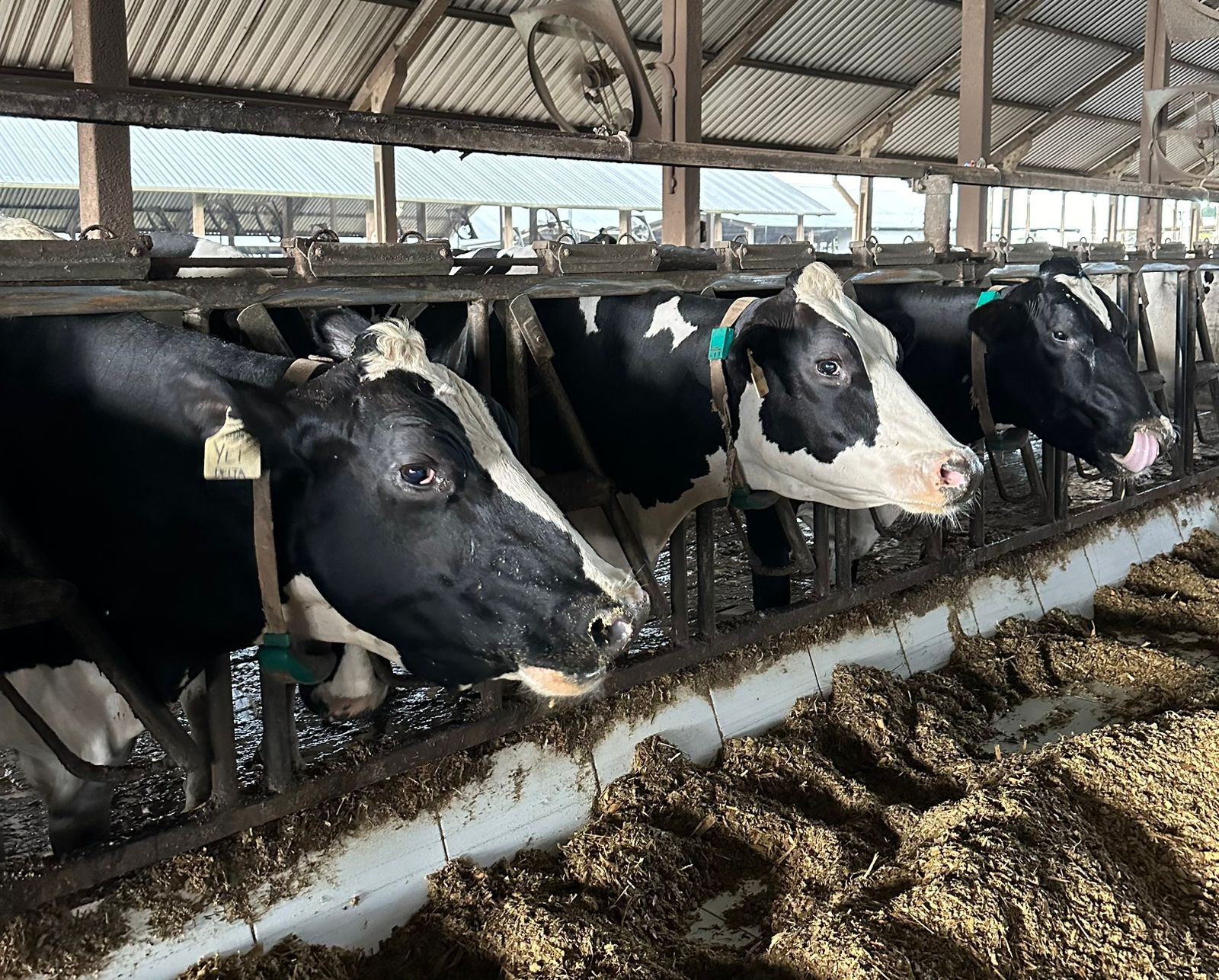 WhatsApp Image 2024-02-26 at 09.13.24 (1).jpeg