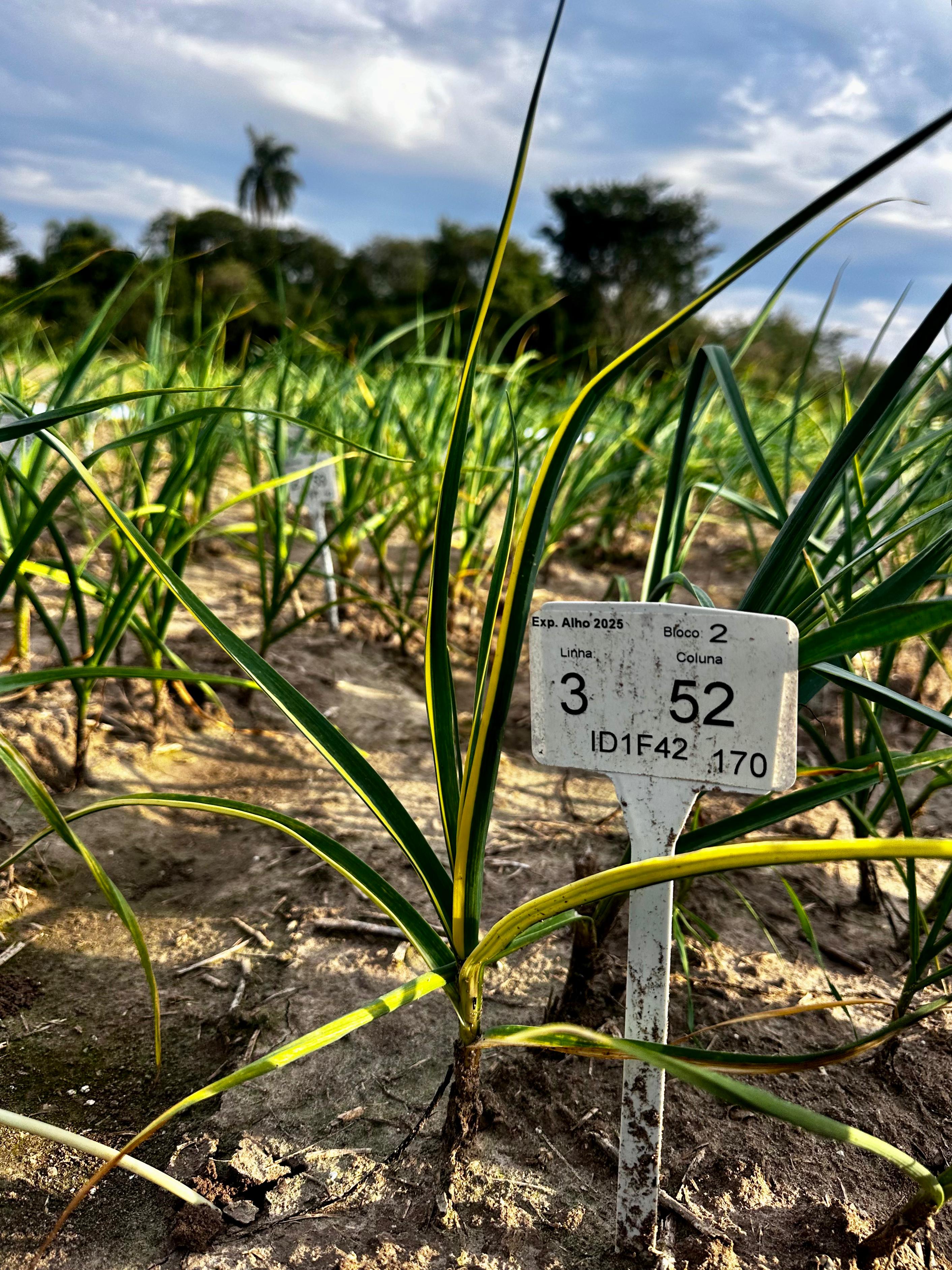 WhatsApp Image 2025-07-11 at 08.10.14 (1).jpeg