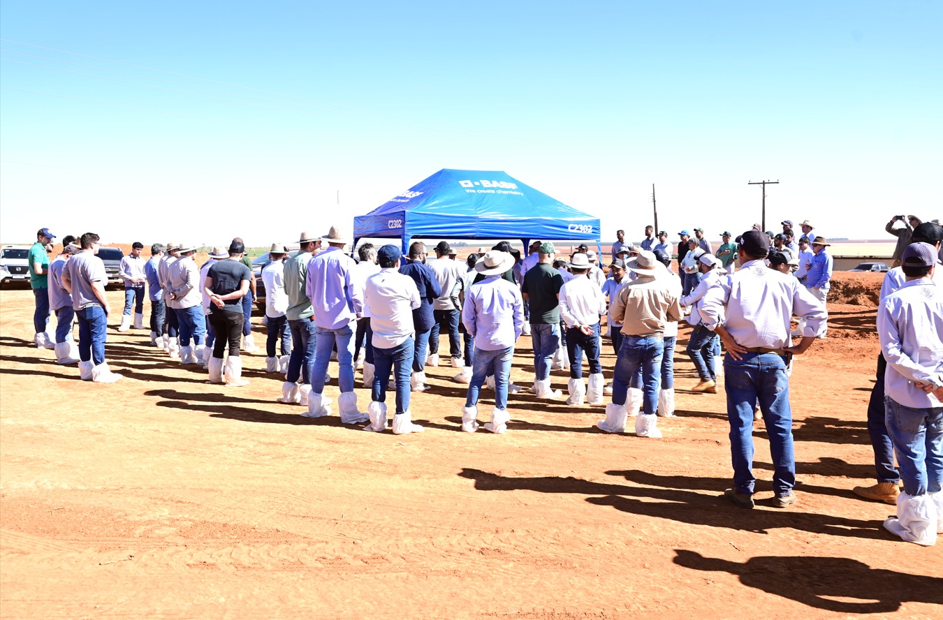 WhatsApp Image 2025-08-01 at 17.26.07.jpeg