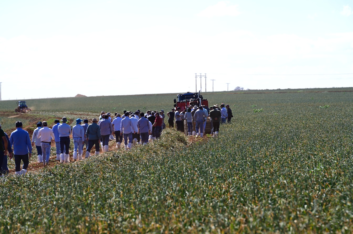 WhatsApp Image 2025-08-01 at 17.26.33.jpeg